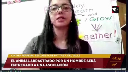 El animal arrastrado por un hombre será entregado a una asociación. Entrevista a Cinthia Ferreira, rescatista de patitas A. del valle