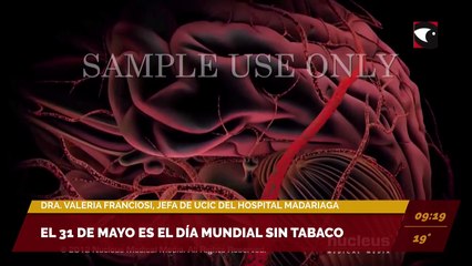 31 de Mayo: se celebra el Día Mundial sin Tabaco