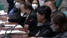 Senate electoral reforms panel hearing on 2022 polls assessment
