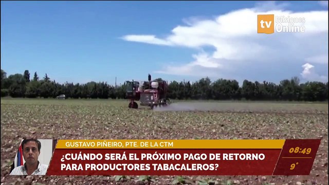 Cerró el acopio de tabaco en Misiones. Gustavo Piñeiro, presidente de la CTM