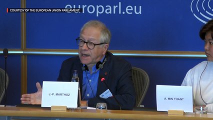 Rappler's Pia Ranada, human rights commissioner Karen Gomez-Dumpit, DLSU professor Julio Teehankee at EU Parliament