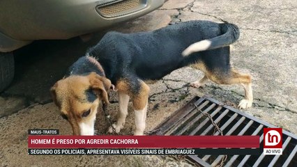 ATENÇÃO: MAIS UM ASSALTO EM APUCARANA. SEIS LADRÕES INVADEM CASA E TRANCAM FAMÍLIA DURANTE O ROUBO