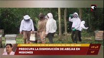 Impulsan la ley de promoción de mieles de diferenciación botánica