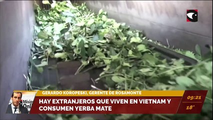 La yerba mate argentina se abre paso en Vietnam. Entrevista a Gerardo Koropeski, gerente de Rosamonte
