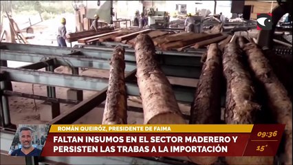 Faltan de insumos en el sector maderero y persisten las trabas a la importación. Entrevista a Román Queiroz, presidente de FAIMA