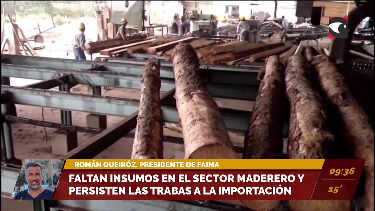 Faltan de insumos en el sector maderero y persisten las trabas a la importación. Entrevista a Román Queiroz, presidente de FAIMA