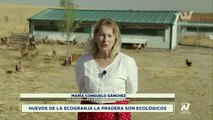 Noticiero TVV - Estelar