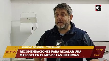 Recomendaciones para regalar una mascota en el Mes de las Infancias