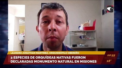 Dos especies de orquídeas nativas fueron declaradas monumento natural en Misiones. Entrevista a Leandro Jonathan Martínez, orquideófilo obereño