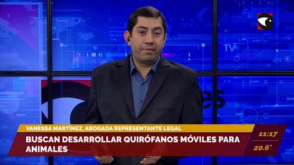 Presentaron el proyecto de castraciones masivas y gratuitas a mascotas