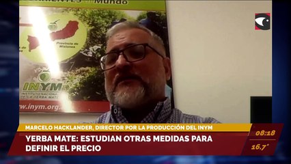 Yerba mate: el precio irá nuevamente a laudo. Entrevista a Marcelo Hacklander, director por la producción del INYM