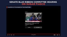 Senate Blue Ribbon Committee hearing on sugar fiasco