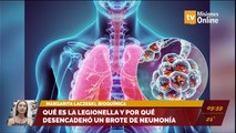 #Salud | Qué es la Legionella y por qué desencadenó un brote de neumonía. Entrevista a Margarita Laczeski, bioquímica