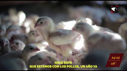 Mira el programa “Hora M” por Misiones Online TV todos los lunes de 13 a 14 horas