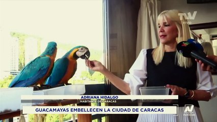 Noticiero TVV - Estelar 19.09.22