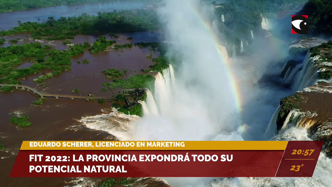 EN VIVO | Sala Cinco