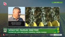 Halk TV CANLI YAYIN | HD