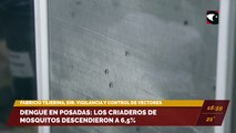 Dengue en Posadas: los criaderos de mosquitos descendieron a 6,5%. Entrevista con Fabricio Tejerina, director de Vigilancia y Control de Vectores de Posadas.