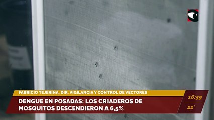 Dengue en Posadas: los criaderos de mosquitos descendieron a 6,5%. Entrevista con Fabricio Tejerina, director de Vigilancia y Control de Vectores de Posadas.