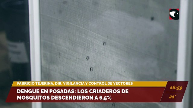 Dengue en Posadas: los criaderos de mosquitos descendieron a 6,5%. Entrevista con Fabricio Tejerina, director de Vigilancia y Control de Vectores de Posadas.