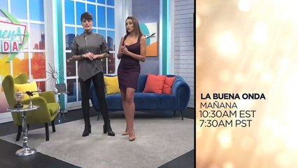 14.11.11 Noticas TVV Estelar