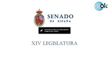 Pedro Sánchez comparece ante el pleno del Senado para informar de las últimas medidas económicas y fiscales adoptadas por el Ejecutivo