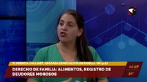 Derecho de familia: alimentos, registro de deudores morosos