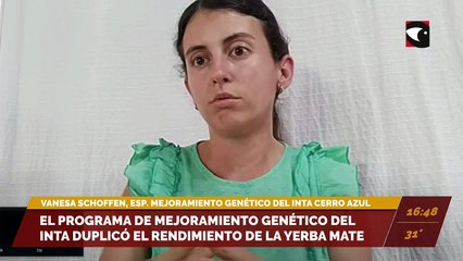 El Programa de Mejoramiento Genético del INTA duplicó el rendimiento de la yerba mate. Entrevista con Vanesa Schoffen, especialista en mejoramiento genético del INTA Cerro Azul.