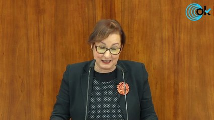 Directo | Díaz Ayuso participa en el Pleno de la Asamblea de Madrid