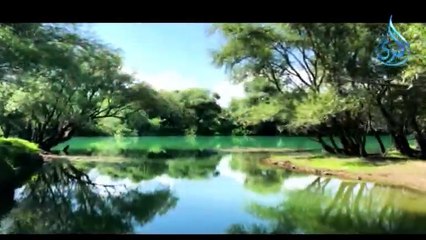 البث المباشر لقناة الندى الفضائية
