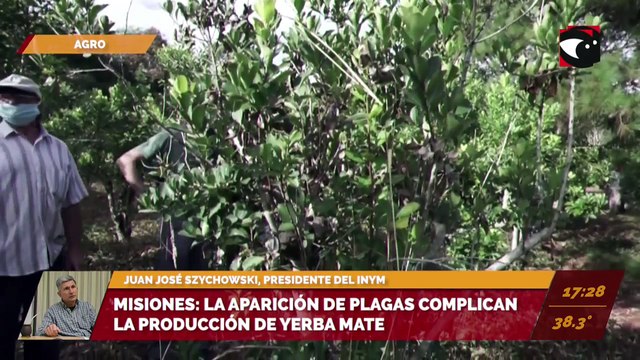 #VeranoEnMisiones: Talleres de verano gratuitos en Eldorado. Entrevista con Paola Stefani, tallerista del Taller de Teatro de Verano en el CEP 16.