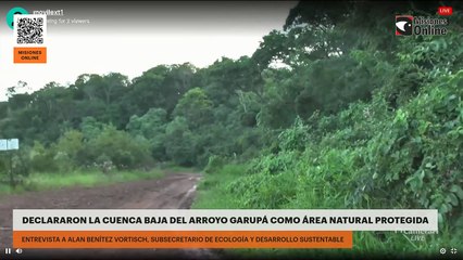 Declararon parte del Arroyo Garupá como área natural protegida