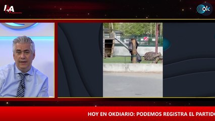LA ANTORCHA | Ataque de un sirio en Francia: ¿Europa se suicida con su política de inmigración?