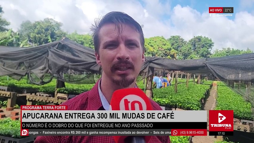 Ação ousada em Apucarana: rodas de veículo que estava em estacionamento de mercado são furtadas. Veja