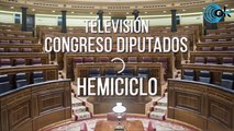 DIRECTO| Sesión Plenaria en el Congreso de los Diputados