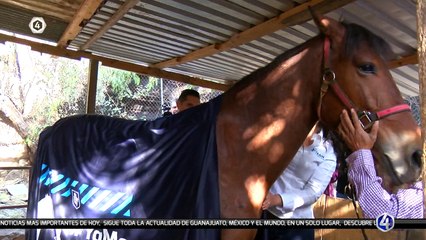 #Tv4Noticias Matutino ️️ ️ Lunes a viernes a las 5:49 am  App ·  tvcuatro.com ·  Canal 4.1 #LoViEnTv4