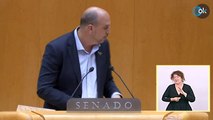 DIRECTO| Pedro Sánchez comparece en el pleno del Senado