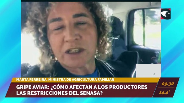 Gripe aviar: ¿cómo afectan a los productores las restricciones del SENASA? Entrevista a Marta Ferreira, ministra de agricultura familiar