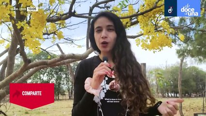 #EnVivo #DeDoceAUna | PAN presumió a Regidora detenida con droga | Conflicto de graneros en Sinaloa