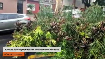 Fuertes lluvias provocaron destrozos en Posadas