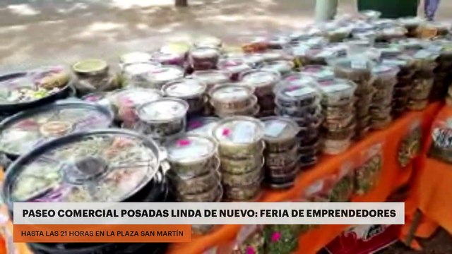 Paseo comercial Posadas linda de nuevo: feria de emprendedores