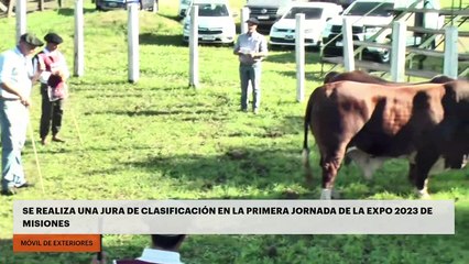 Se realiza una jura de clasificación en la primera jornada de la Expo Rural 2023 de Misiones