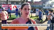 Marcha contra el maltrato animal: piden justicia por 
