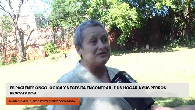 Es paciente oncologica y necesita encontrarle un hogar a sus perros rescatados