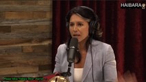 Episode 2032 BJ Penn & Tulsi Gabbard - The Joe Rogan Experience Video - Episode latest update