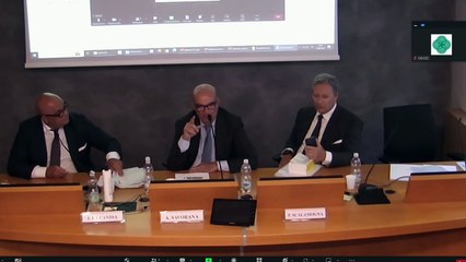 Contabilità, Controlli, governanCe e fisCalità delle operazioni di fusione, sCissione e Conferimento