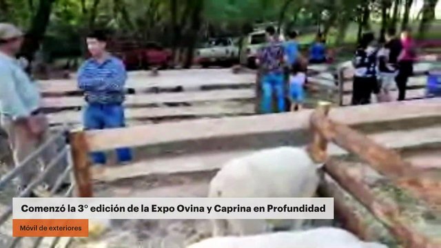 Comenzó la 3° edición de la Expo Ovina y Caprina en Profundidad