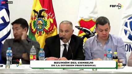 REUNION DEL CONSEJO DE LA DIVISION PROFESIONAL