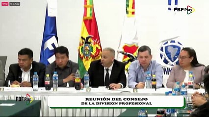 REUNION DEL CONSEJO DE LA DIVISION PROFESIONAL