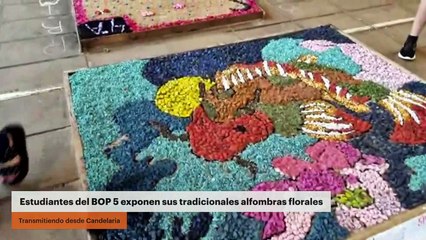 Candelaria | Estudiantes del BOP 5 exponen sus tradicionales alfombras florales